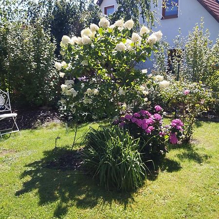 Apartmán Waldwinkel Treuchtlingen Exteriér fotografie