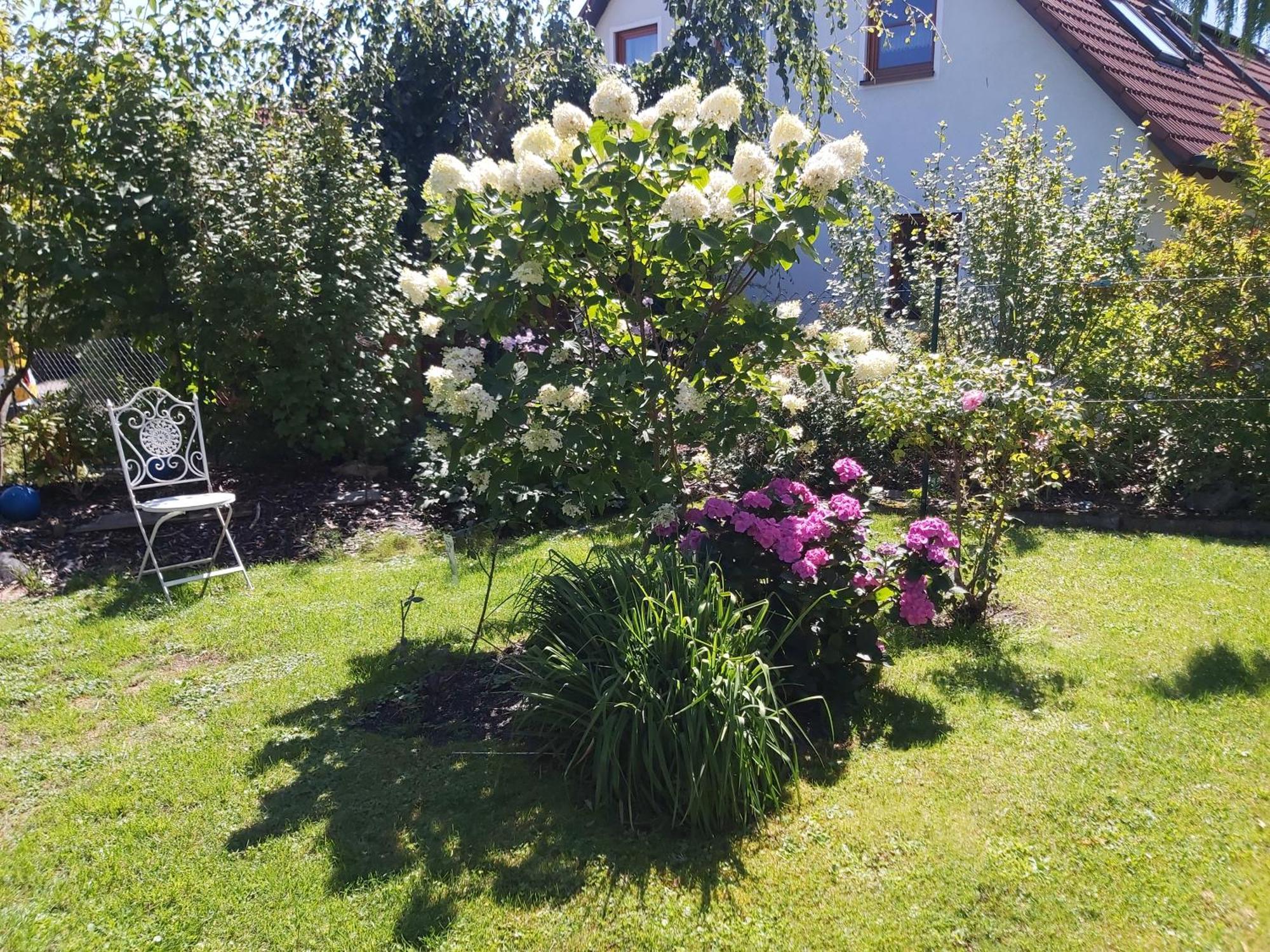 Apartmán Waldwinkel Treuchtlingen Exteriér fotografie